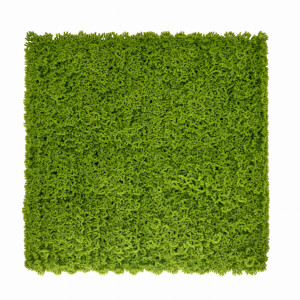 PANEL ZIELENI MECH 50X50 CM OGRÓD WERTYKALNY