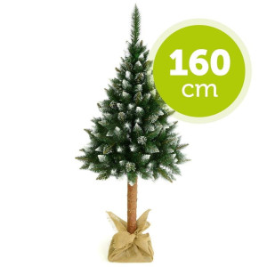 CHOINKA NA PNIU 160 CM SOSNA DIAMENTO