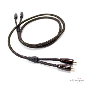 Câble de modulation Audioquest BIG SUR - longueur 1 m