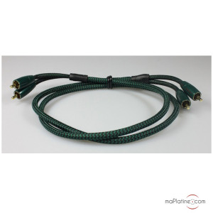 Câble de modulation Audioquest Evergreen - longueur 1 m