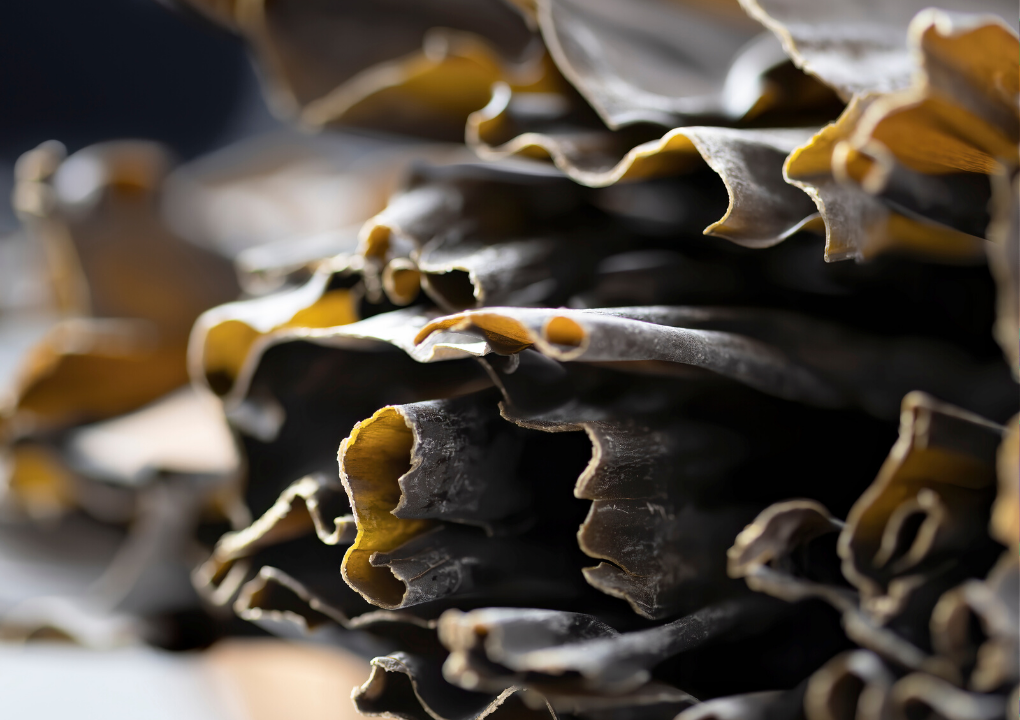 Glony Konbu / Kombu / Dashima (Dried Kelp) 1kg