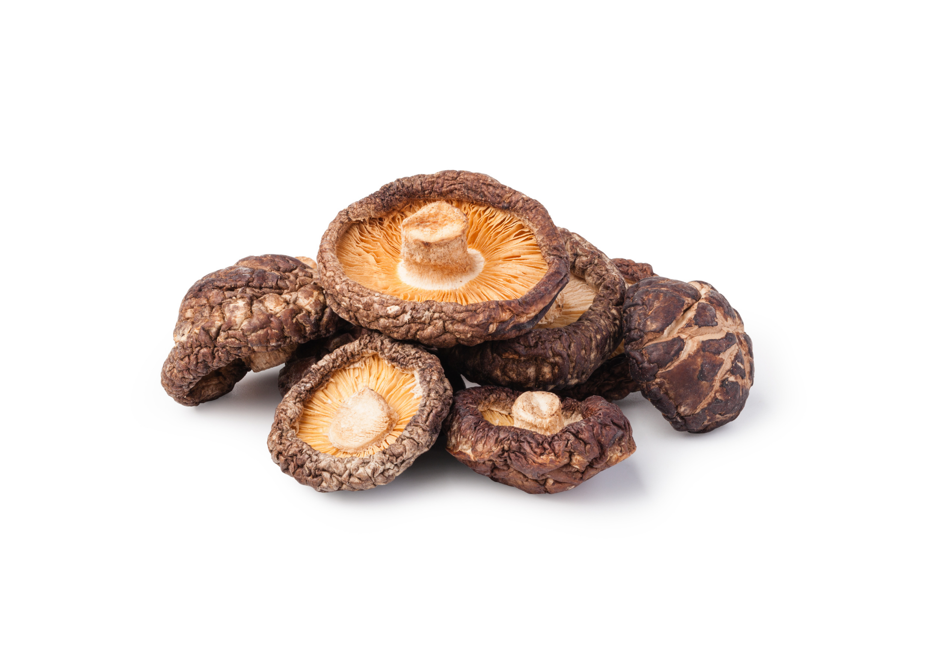 Grzyby Shitake / Shiitake 500g