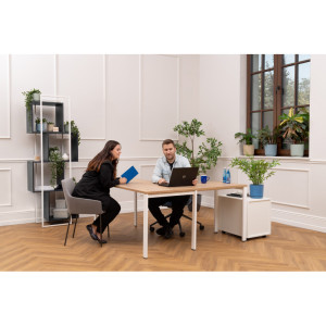 Matelpro Extension pour bureau individuel Offline F Blanc, gris clair, beige, graphite, noir, acacia, epicéa gris ou chêne naturel