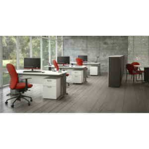 Leaderburo Caisson de bureau mobile 2 tiroirs Opaline Graphite, argent, blanc, gris, hêtre, chêne moyen, acacia clair, acacia foncé, chêne veiné ou