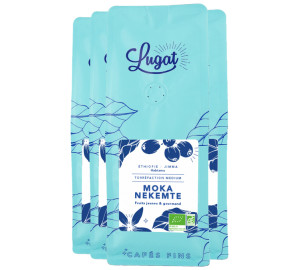 Cafés Lugat - Specialty Coffee Ethiopie Moka Nekemte - Bio-kaffeebohnen 4x250 G - MaxiCoffee