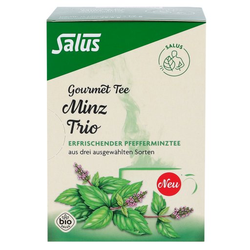 MINZ TRIO Gourmet Tee Bio Salus Filterbeutel 15 St