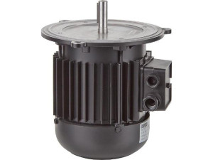 Brennermotor für elco 13013124 Ref.-Nr.: 13.013.124 ersetzt 333.310.0821 333.311.5506