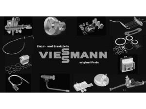Viessmann Tülle DN60