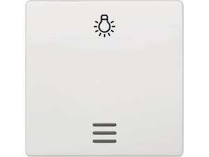 Wippe mit Symbol Licht und Fenster titanweiß/ 55mmx55mm Schutzart IP20 / 1 Stück