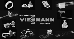 Viessmann Schlauchstutzen DN50 G2 7844133