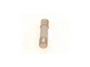 Buderus 8738803394 Sicherung 250mA (10x) everp