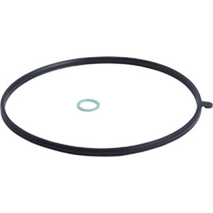 Viessmann Brennertürdichtung GCM32 CHE