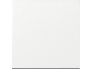 Wippe Schalter und Taster, rws glz, System 55, 329603