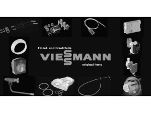 Viessmann 7858031 Revisionstür