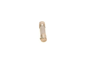 Buderus 67900738 Sicherungseinsatz IEC127-2/5T(10x) everp