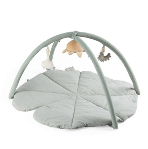 Sebra Babygym, Woodland