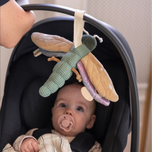 Sebra Babyrangle, Øyenstikker