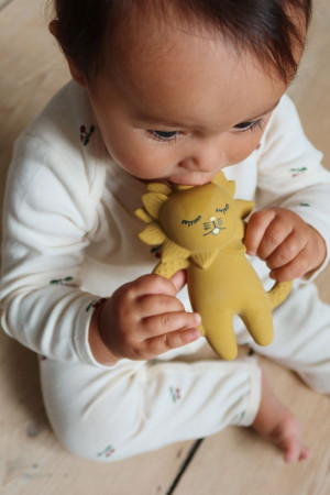 Konges Sløjd Bitering, Lion teether