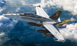 F/A-18 D Hornet - USMC VFMA-225 w/MF