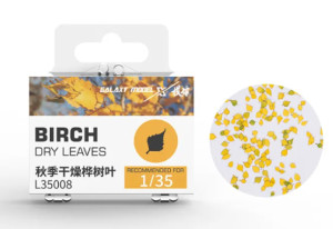 Birch dry leaves