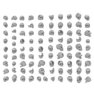 Skulls - 3D Printed Resin (85 pcs)