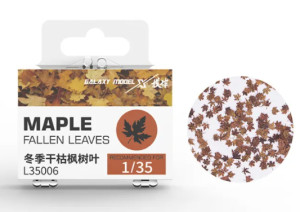 Maple fallen leaves