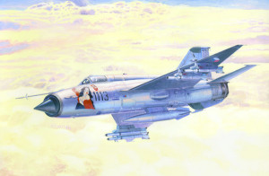Mig-21 MA Pin up Girl