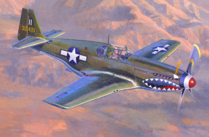 P-51 B-1 Bull Frogl