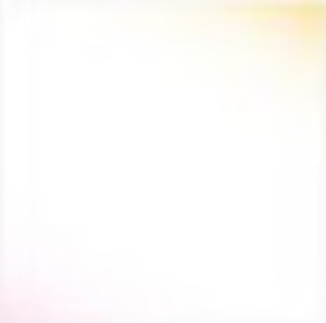 CL09 Smooth Pearl Coat Overcoat Gloss