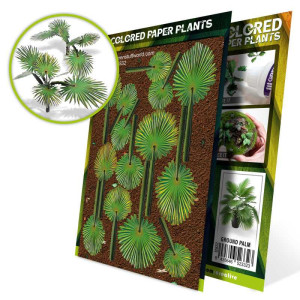 Colored Paper - Plants Ground Palm