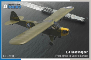 L-4 Grasshopper 'From Africa to Central Europe'
