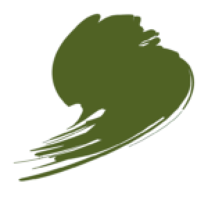 HTK-C073 AMT-4 Camouflage Green