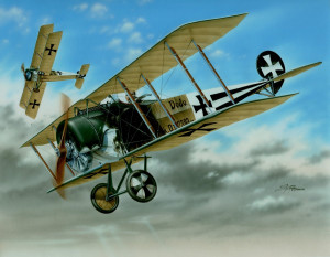 Fokker D.II "Black & White Tail"