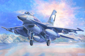 F-16C-40'Aviano' Model