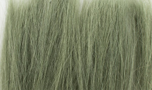 Tall Grass - Green