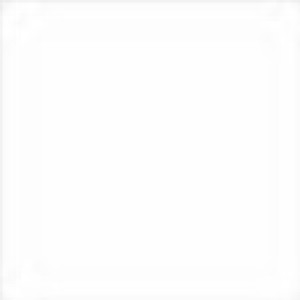 CL106 Icy White Base Color Gloss