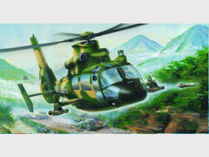 Harbin Z-9G Armed Helicopter