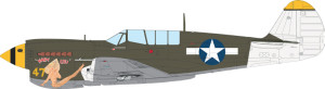 Curtiss P-40 N Warhawk - The Weekend Edition