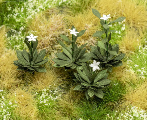 Blooming Weeds