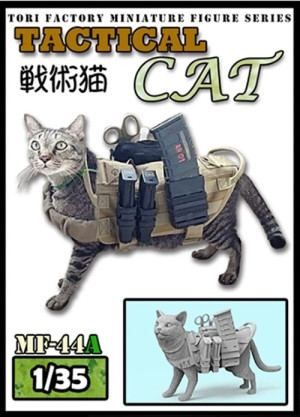 Tactical Cat