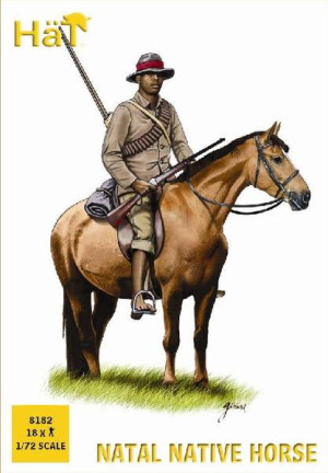 Natal Native Horse