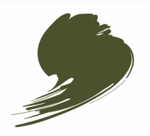 HTK-C085 Polish AFV Khaki Green