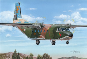 CASA C.212-100 "Tail Art"