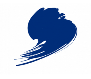 HTK-C102 Signal Blue ( RAL 5005 )