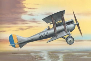 French fighter Nieuport-Delage NiD 29 (Export version)