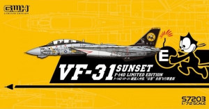 VF-31 Sunset F-14D Limited Edition (G.W.H)