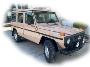 4x4 LKW 0,5t GL Typ 460