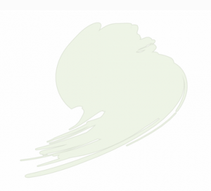 HTK-C049 Insignia White (FS17875, ANA 511)