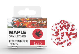 Maple dry leaves
