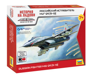 Russian Fighter MiG-29 (9-13)